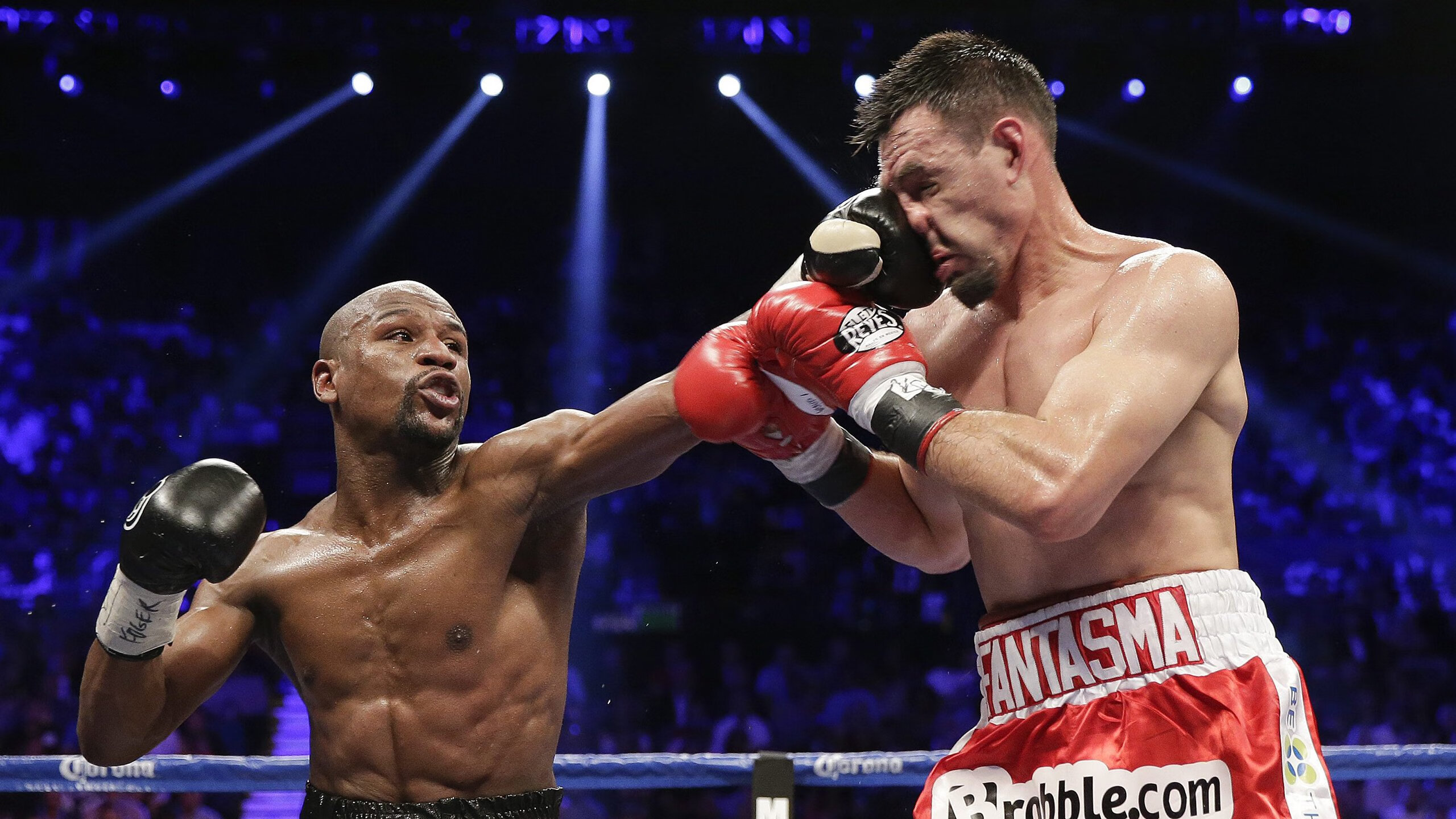 世界杯医务团队的幕后故事被披露，世界杯医务团队的幕后故事被披露了吗